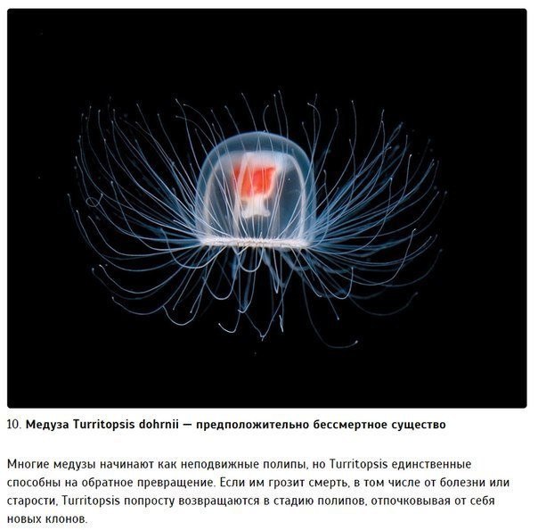 Картинки для отдыха глаз