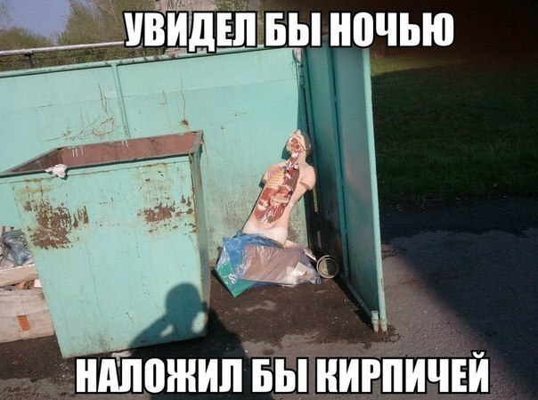 Подборка интересных и веселых картинок