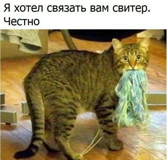 Забавные комментарии, шутки и фразы из этих ваших интернетов