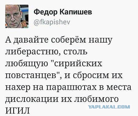 Более 80% россиян одобряют работу Путина