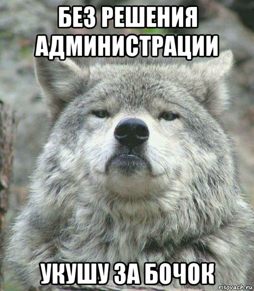 История болезни местной власти