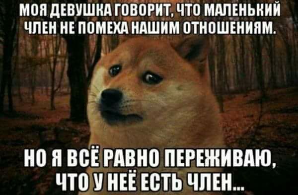 Нетематические картинки