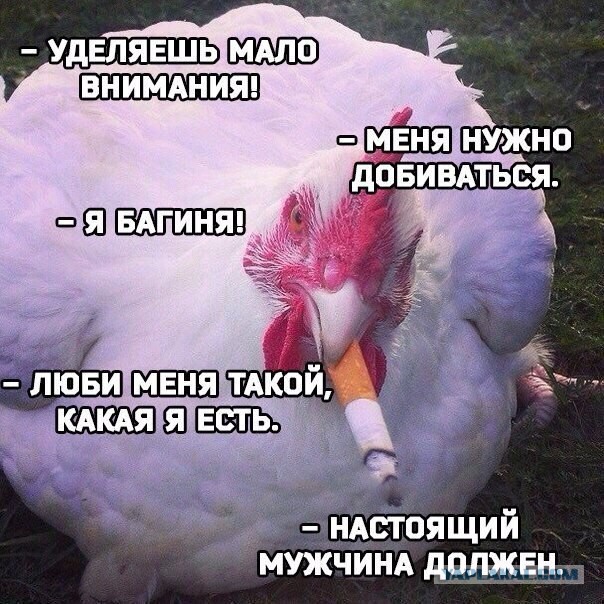 Мужчина должен с рождения