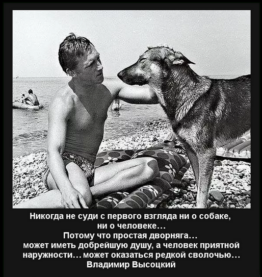 Отлов собак. Спасающие наши жизни