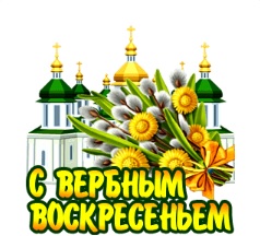 Итоги проверки пользователей