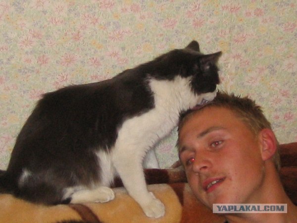 Котосреда (06.05.2009)