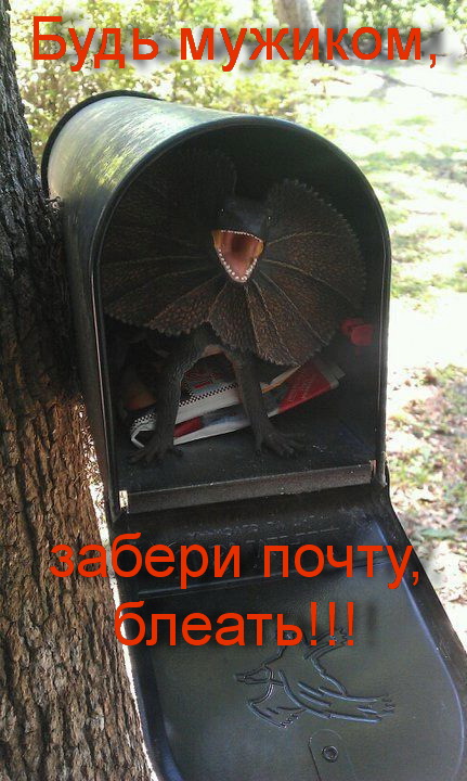 Почтальон