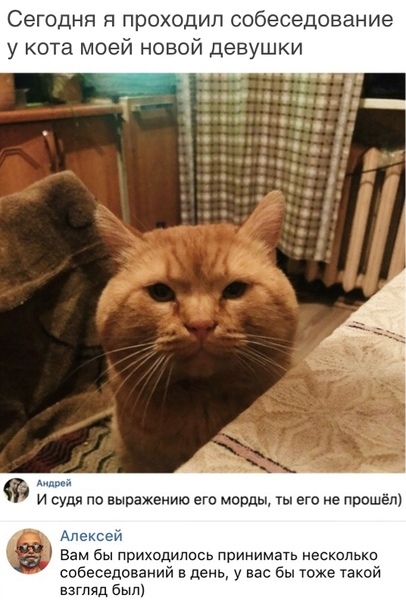 Немного картинок для настроения