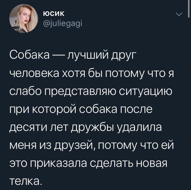 Немного картинок для настроения 19.10.19