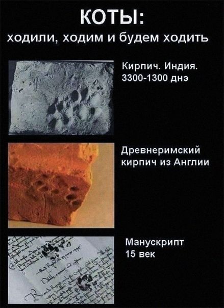 Немного картинок для настроения 26.02.20