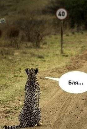Бредзона 20.05.2020