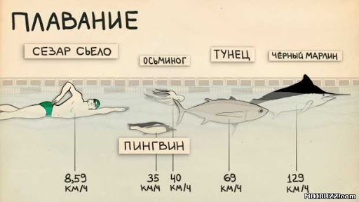 Всё познаётся в сравнении