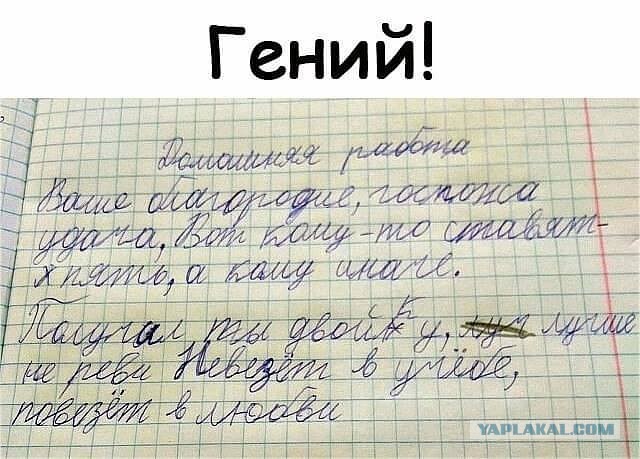 Картинки всякие 30.11.2020
