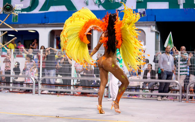 Карнавальных птичек пост