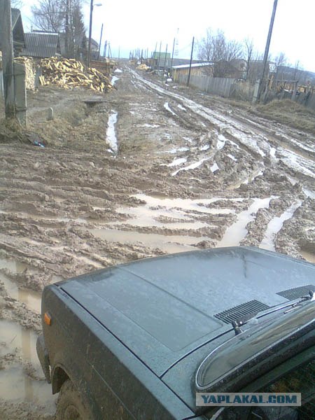 На Шершни в глиноговны