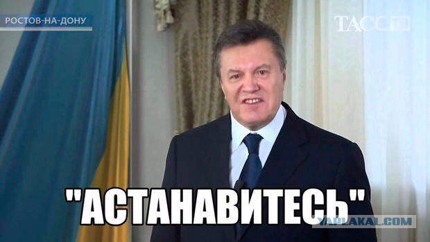Массовая драка на турнире по дзюдо в Дагестане