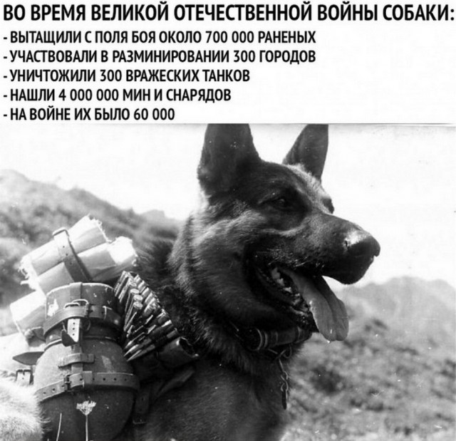 Картинки и мемы для настроения 26.08.2021