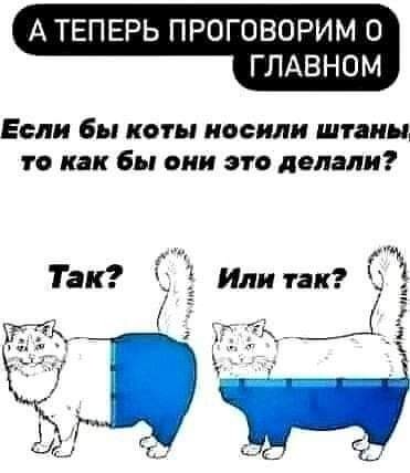 Картинки 12.02.22