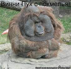 Терпели всю зиму и не какали