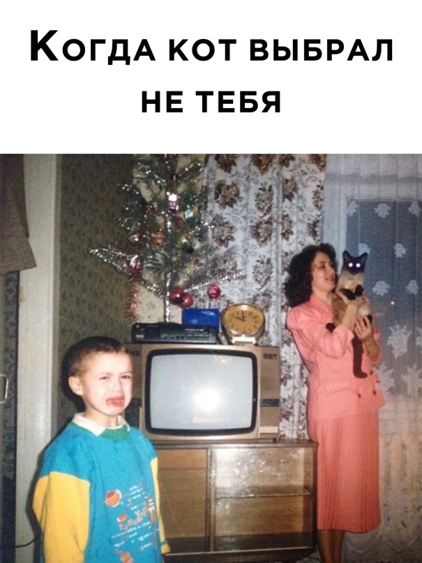 Весёлый полтишок 16.05.22
