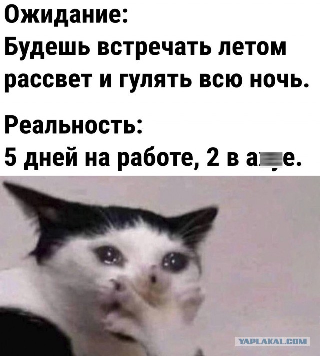 Так себе картинки 09.07.22