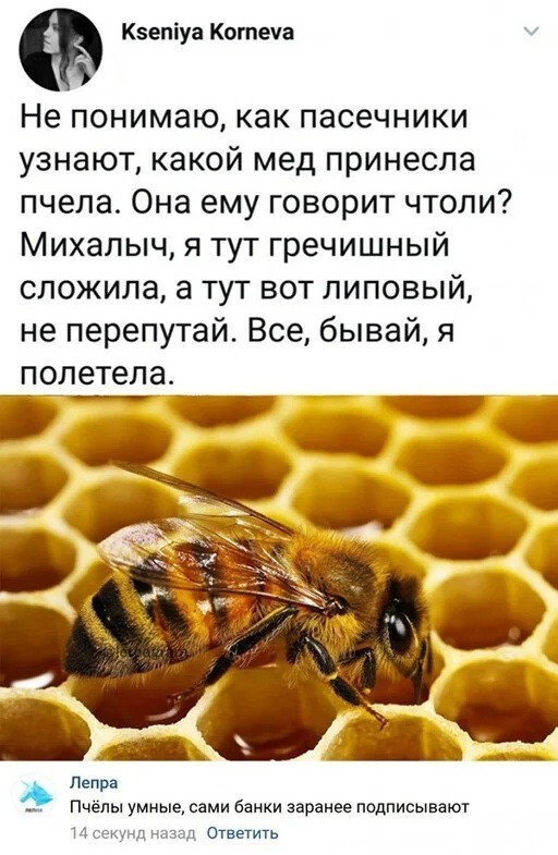 Скриншоты и комментарии из социальных сетей 17.08.22