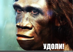 IMDb удалил все негативные рецензии на сериал «Властелин колец: Кольца власти»