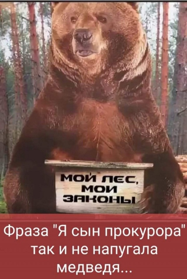 Картинки и мемы для настроения - 21