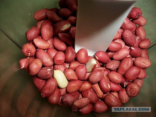 «Ишь грудь выпячила, бёдрами виляет, - Курица!», совместный пост  - Frau Marta и Mitsv