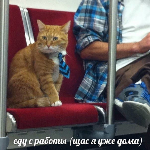 Всего понемногу. От 19.01.24