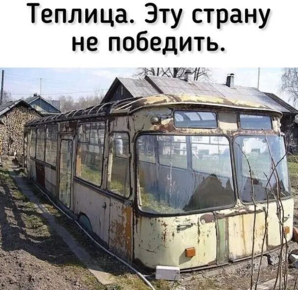Прикольные и просто красивые картинки 10.01.2025