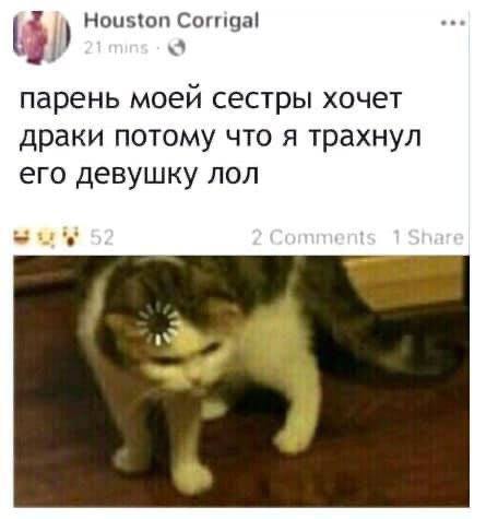 15 фото вам без всякой моральной этики для поднятия настроения