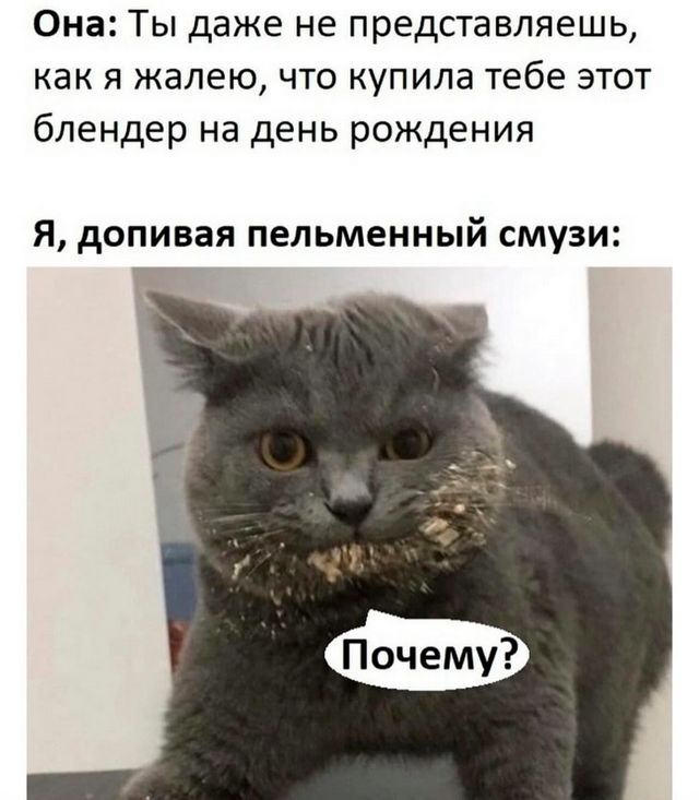 К котовторнику: подборка картинок-баянов с котиками и про котиков. Выпуск 18.