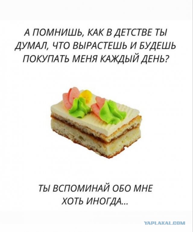 Околокулинарная подборка выходного дня
