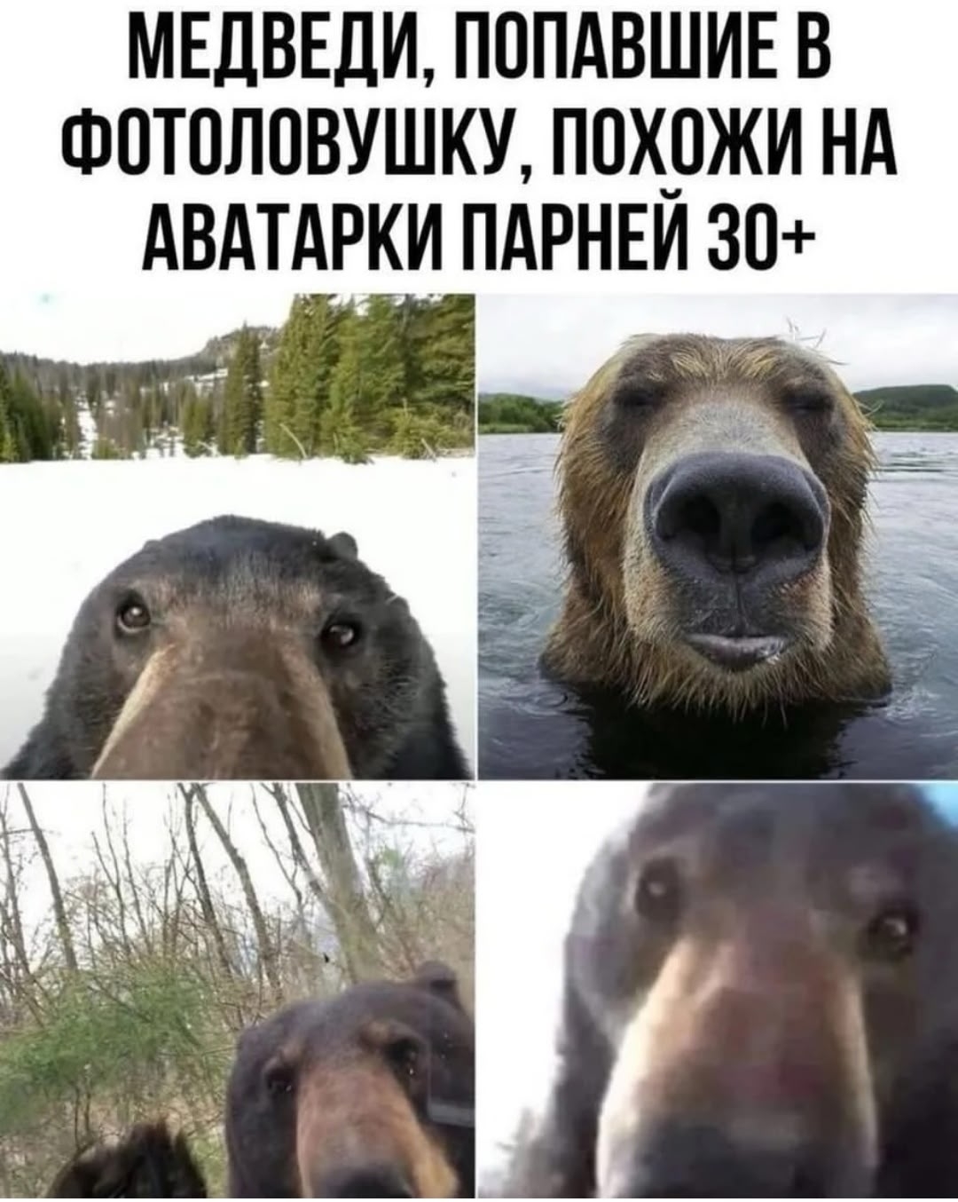 20665343.jpg