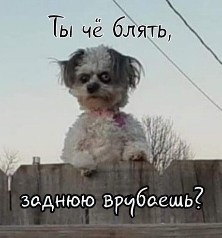 Россия согласилась воздержаться от ударов по Украине до 1 февраля