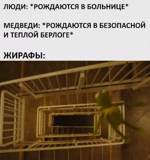 Так себе картинки 22.02.26