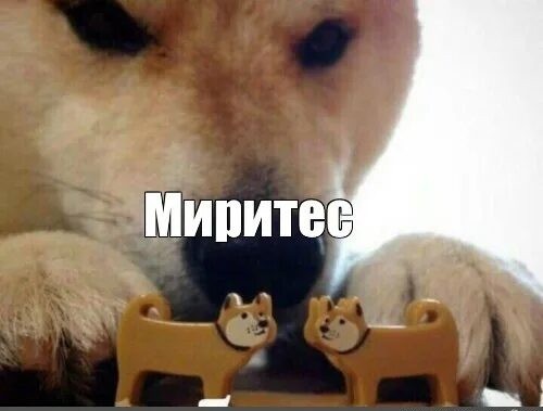Украина вводит «режим тишины» в ночь с 5 на 6 мая