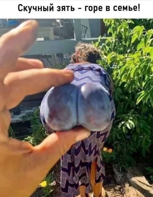 Среды картинки