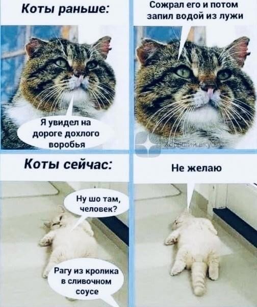 Картинки для деградации 293 (разной степени свежести)