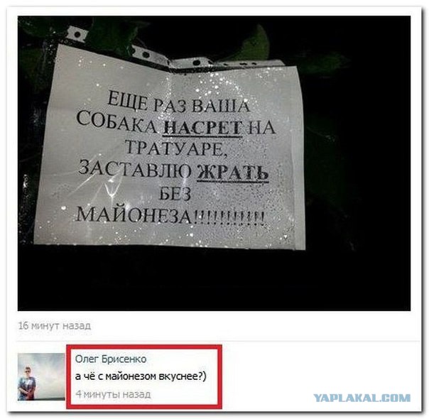 Смешные комментарии из социальных сетей (часть 5)