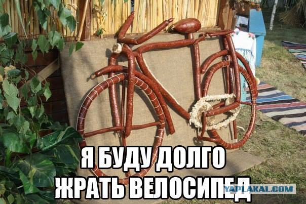 Выбор велика