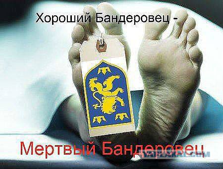 Карателям в зоне "АТО" выдают обувь из бумаги