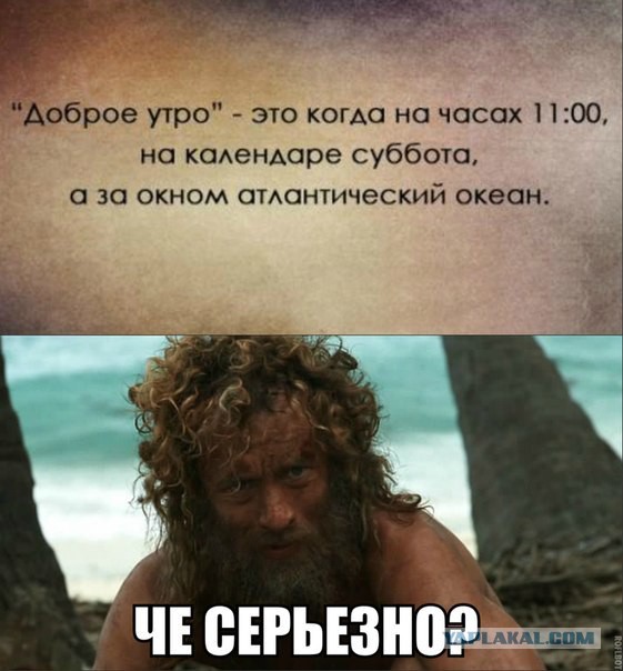 Веселое из сети