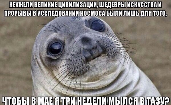 Веселости