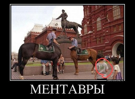 Полицейские на даче :)