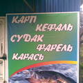 Надписи, таблички, маразмы