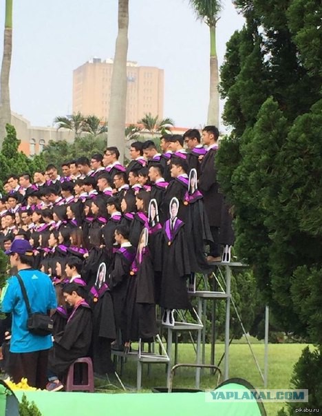 Картинки и прочее