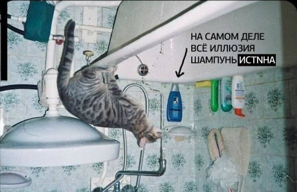 Абсурдный юмор ч.4