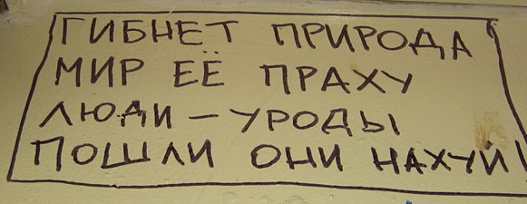 10 удивительных организмов, которые живут невероятно долго